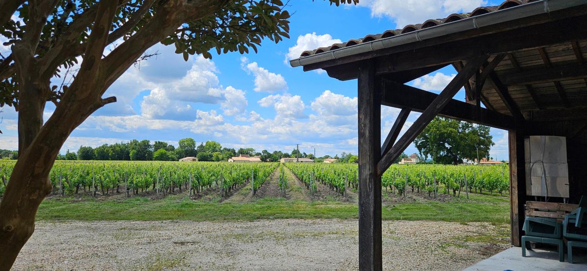 Gite Chateau Touzinat - Saint-Emilion Exterior photo