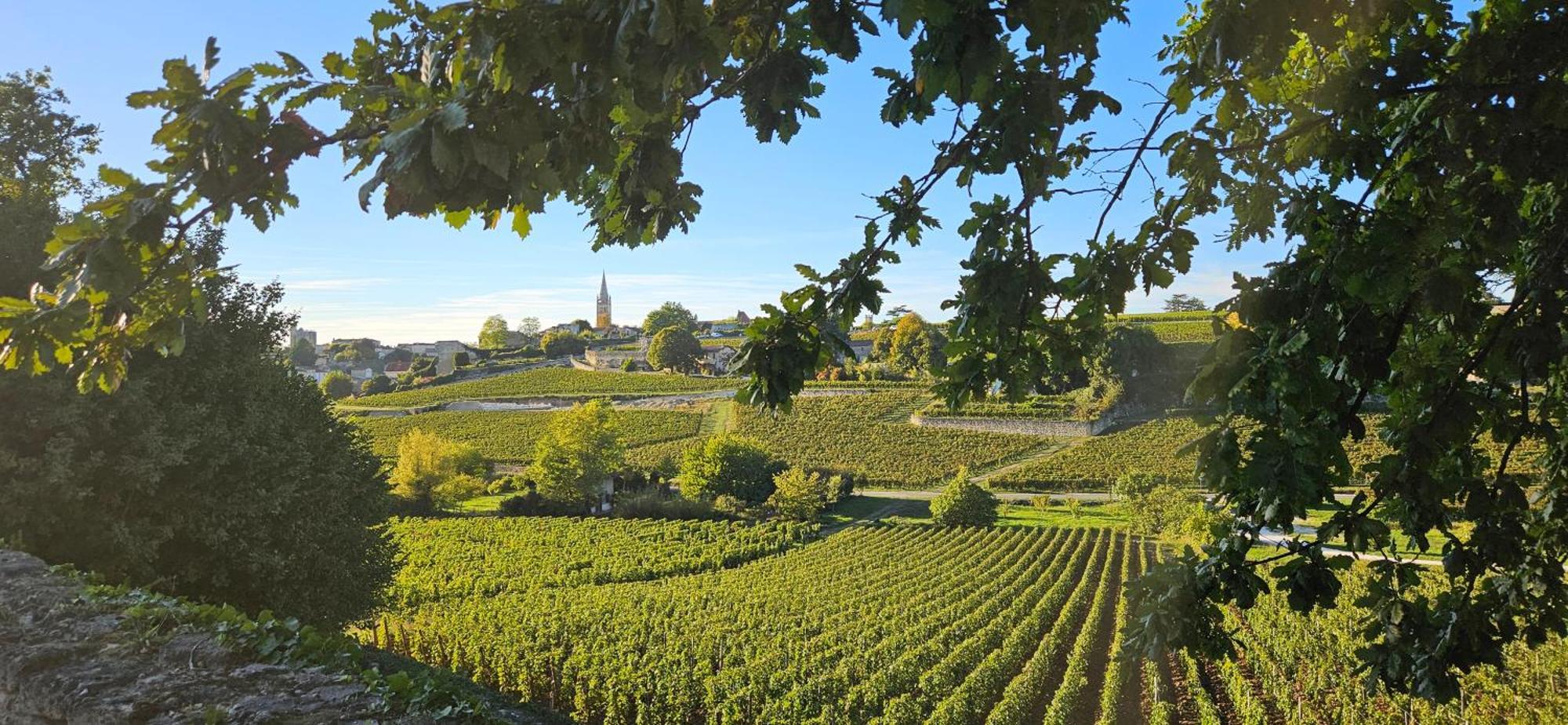 Gite Chateau Touzinat - Saint-Emilion Exterior photo